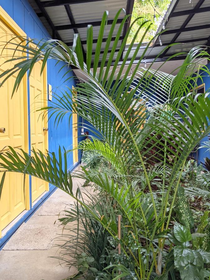 Guesthouse Congo Tempisque ليبيريا المظهر الخارجي الصورة